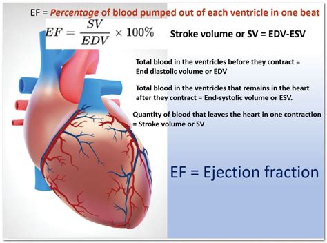 how to find ejection fraction.